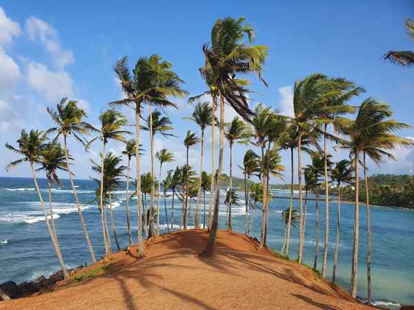 Photo from Google Places (97b666d1)