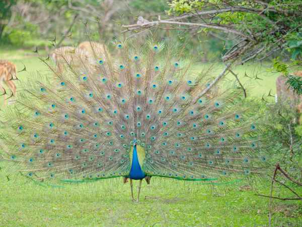 Photo from Google Places (83ee7064)