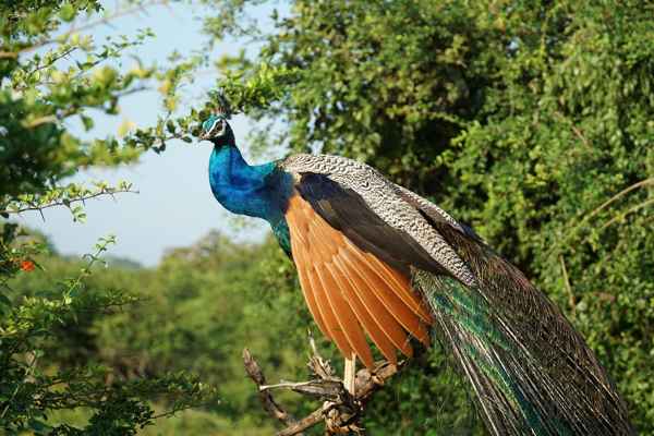 Photo from Google Places (1e12b0b6)