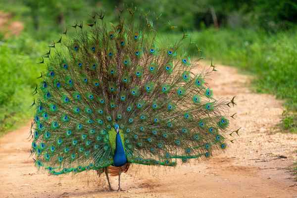 Photo from Google Places (0fe6e14c)