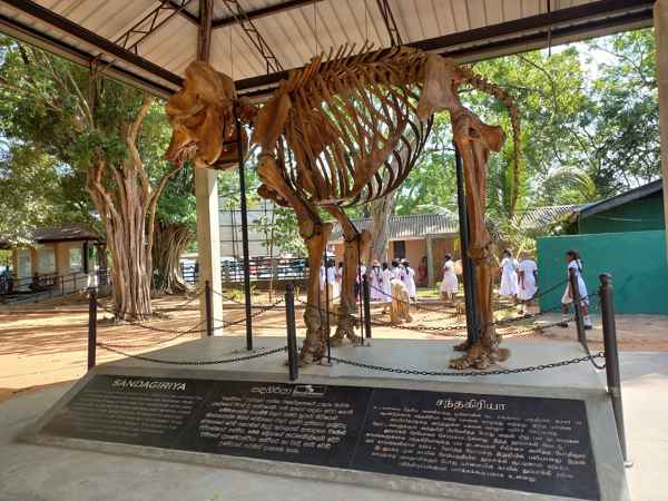 Photo from Google Places (e468f523)