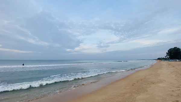 Photo from Google Places (586bf75b)