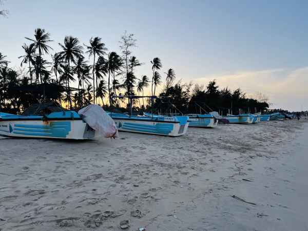 Photo from Google Places (cb1dc751)