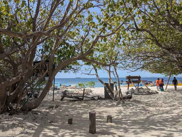 Photo from Google Places (a2dbf4e2)