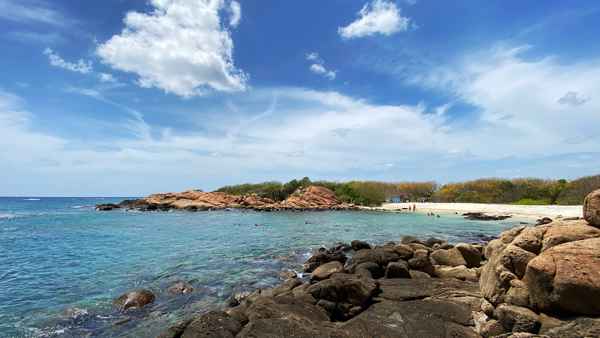 Photo from Google Places (d962c5ea)