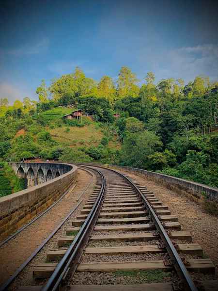 Photo from Google Places (d240c2fc)