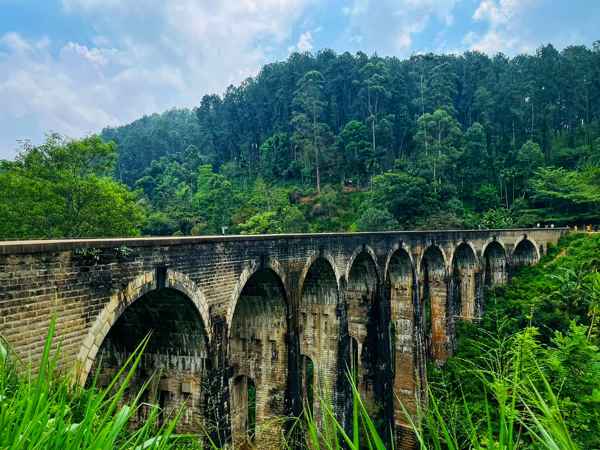 Photo from Google Places (7d460128)