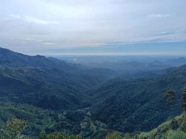 Ella Rock View Point