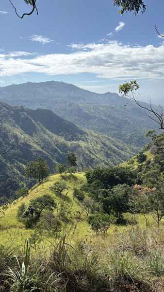 Photo from Google Places (67ee9ce3)