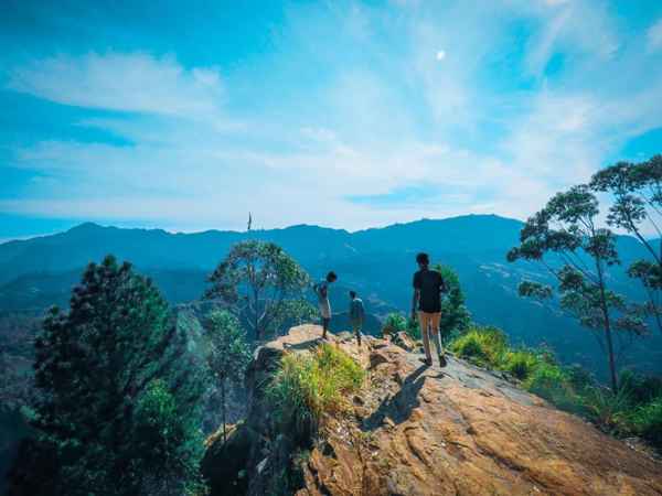 Photo from Google Places (43ab8e1c)