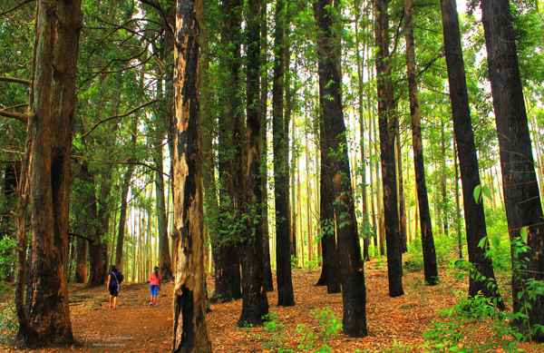 Photo from Google Places (ac63c561)