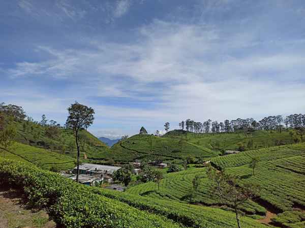 Photo from Google Places (7c834829)