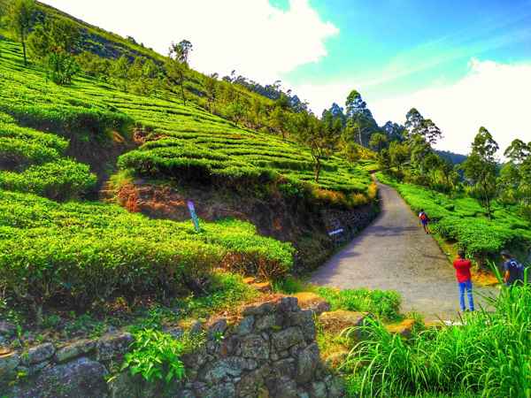 Photo from Google Places (52e41145)