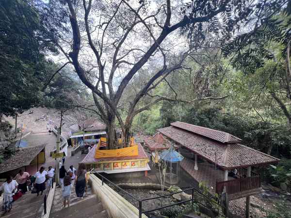 Photo from Google Places (680879e5)