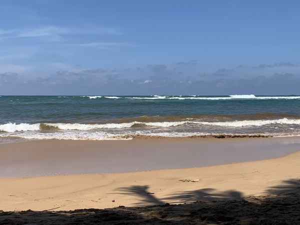 Photo from Google Places (dec10e5c)