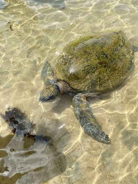 Photo from Google Places (c4f7f741)