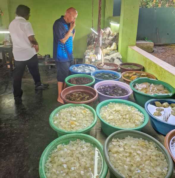 Photo from Google Places (175beb29)