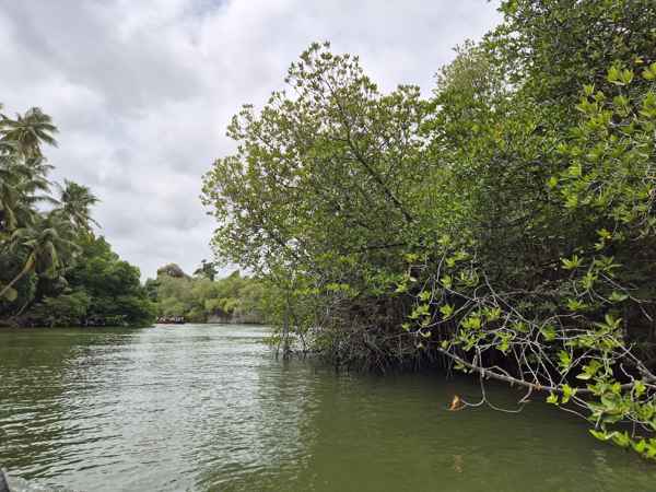 Photo from Google Places (108226a0)