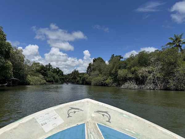 Photo from Google Places (803fc7d2)