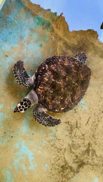 Photo from Google Places (ca8a0c59)