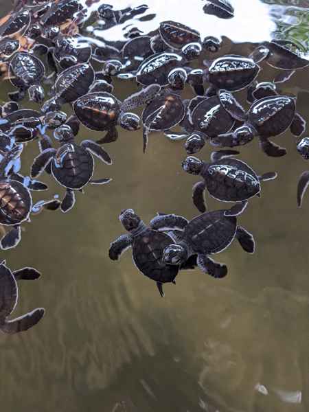 Photo from Google Places (1d41becb)