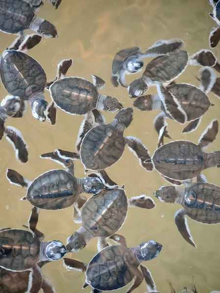 Photo from Google Places (f43cd7d9)