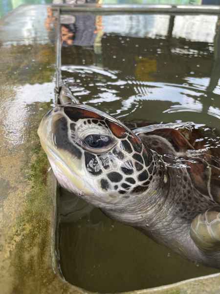 Photo from Google Places (1d083f11)