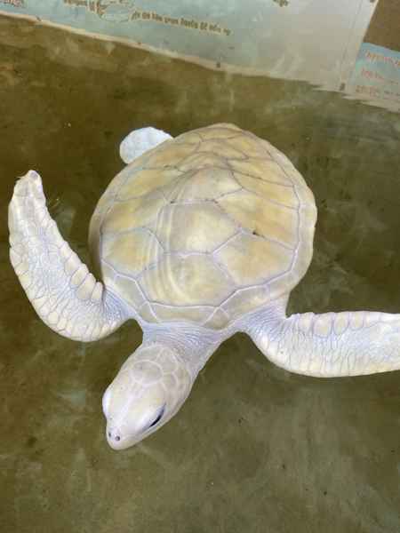 Photo from Google Places (b86702d2)