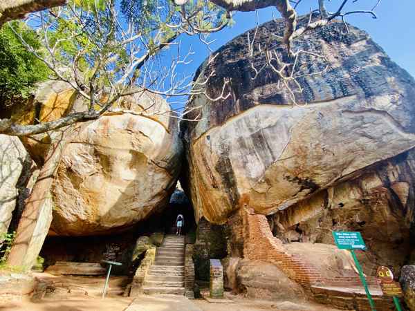 Photo from Google Places (0569456b)