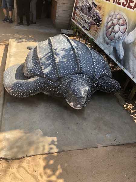 Photo from Google Places (22618e27)