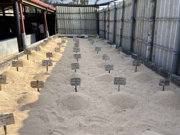 Photo from Google Places (e2ed56ae)