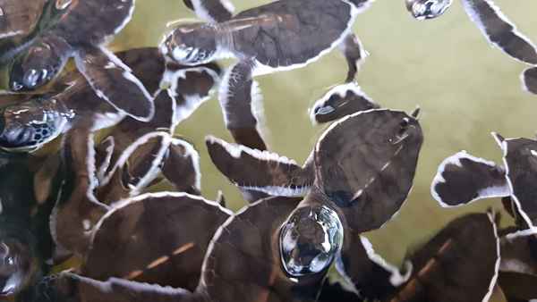 Photo from Google Places (52b6ae5e)