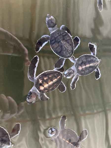 Photo from Google Places (4bddbafc)