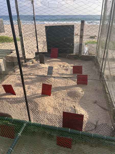 Photo from Google Places (f0084136)