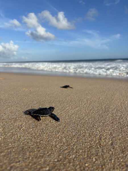 Photo from Google Places (1368d9c7)