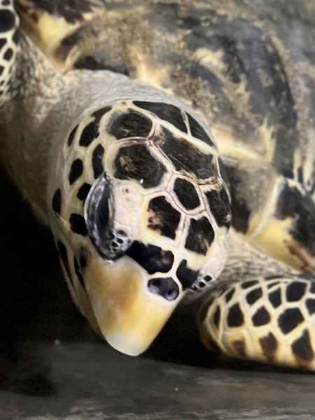 Photo from Google Places (c224e24b)