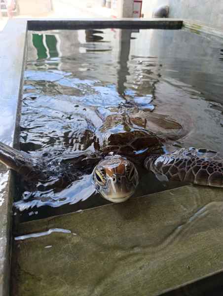 Photo from Google Places (1c3bb441)