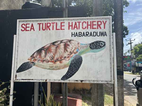 Photo from Google Places (27faff5a)