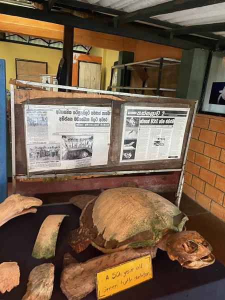 Photo from Google Places (6ce203f3)