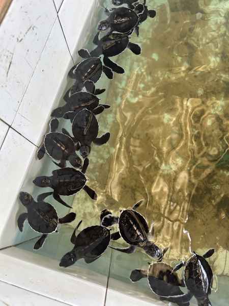 Photo from Google Places (3d84bed8)