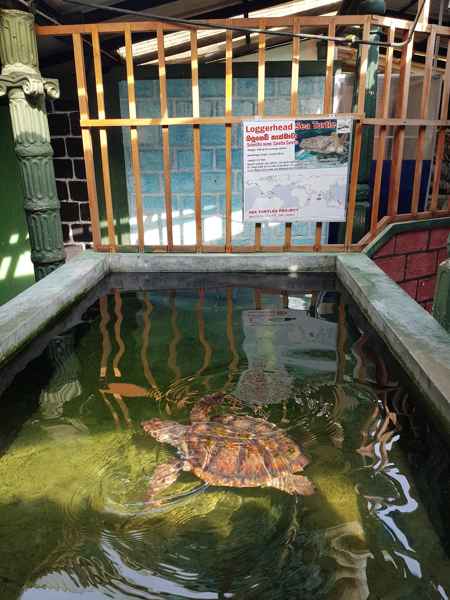 Photo from Google Places (cad726a2)