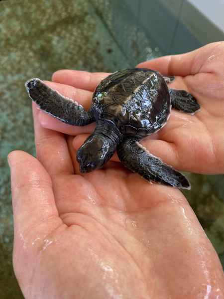 Photo from Google Places (4f4e45a4)