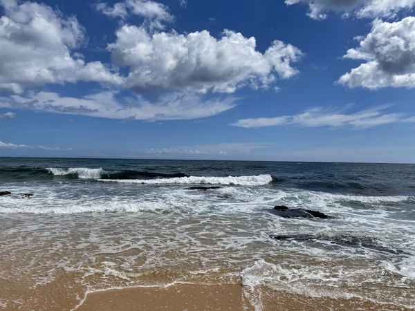 Photo from Google Places (01706d5f)