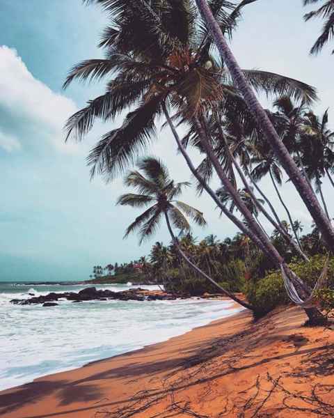 Photo from Google Places (feeb02ba)