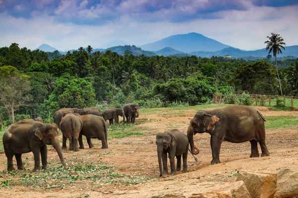 Photo from Google Places (0ce93290)