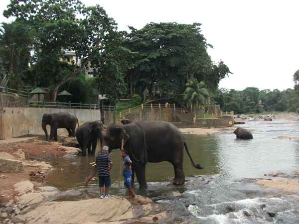 Photo from Google Places (ea68919e)