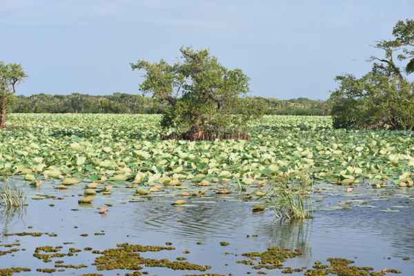 Photo from Google Places (5523b1c8)