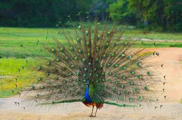 Photo from Google Places (232dc9c9)