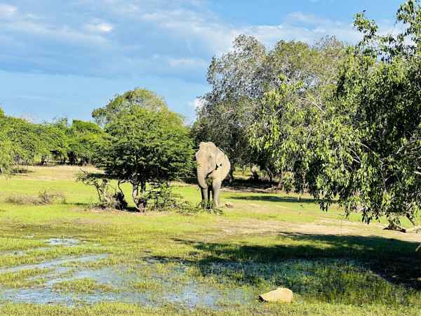 Photo from Google Places (96c07d61)