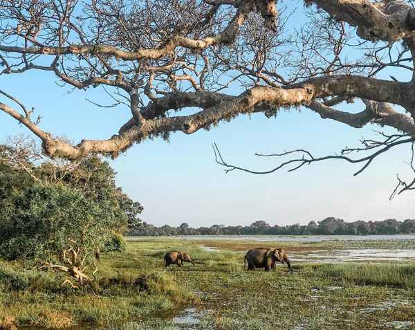 Photo from Google Places (9a7f988e)